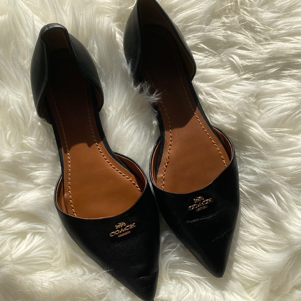 Coach Leather Pointed Flats